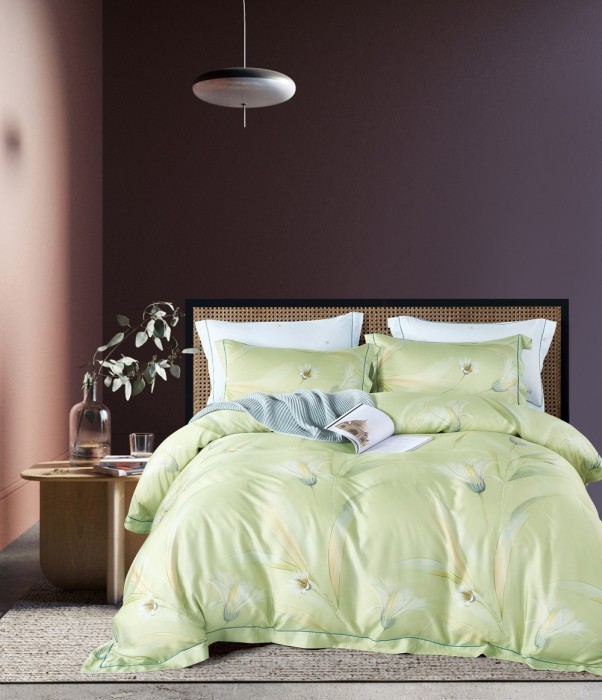 Постельное белье Tango TT6-131 евро