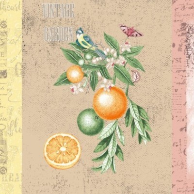 Полотенца вафельные 10076-1-50x60 - 3шт в уп.